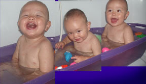 Gesnater in het water